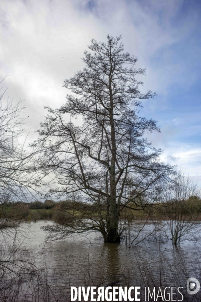 Tempête Floriane