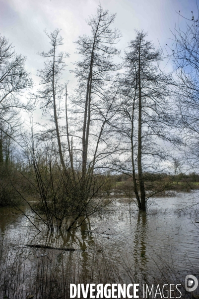 Tempête Floriane