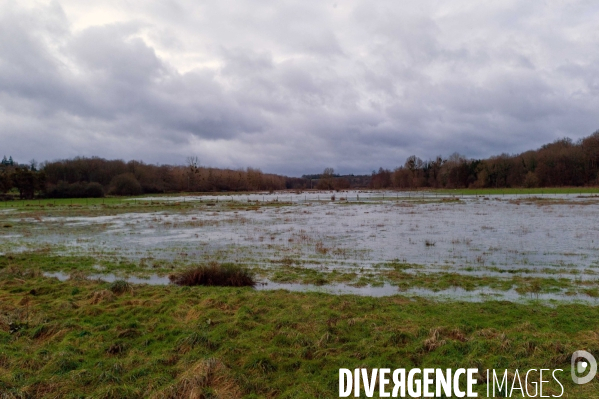 Tempête Floriane