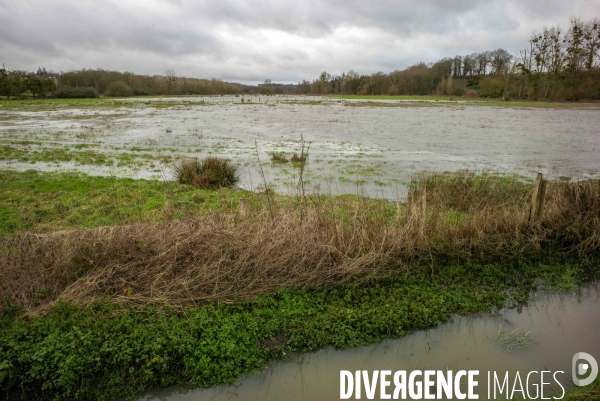 Tempête Floriane