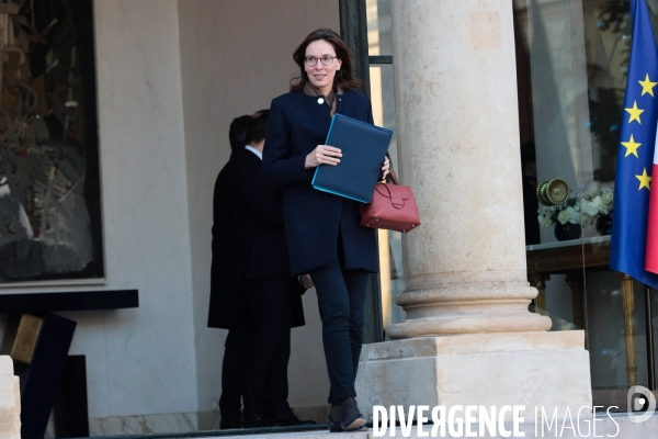 1er conseil des ministres du gouvernement bayrou