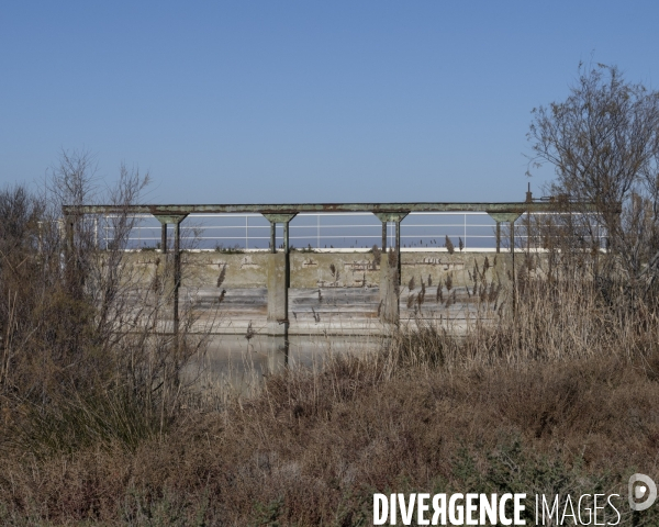 Rechauffement climatique en Camargue