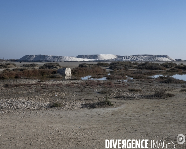 Rechauffement climatique en Camargue