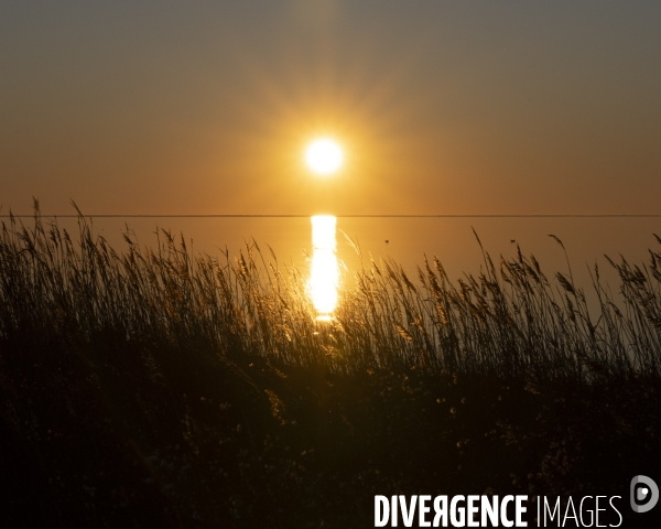 Rechauffement climatique en Camargue