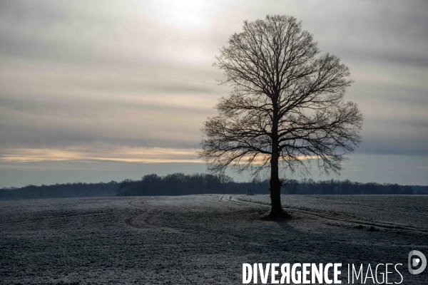 Vague de froid,c’est l’hiver
