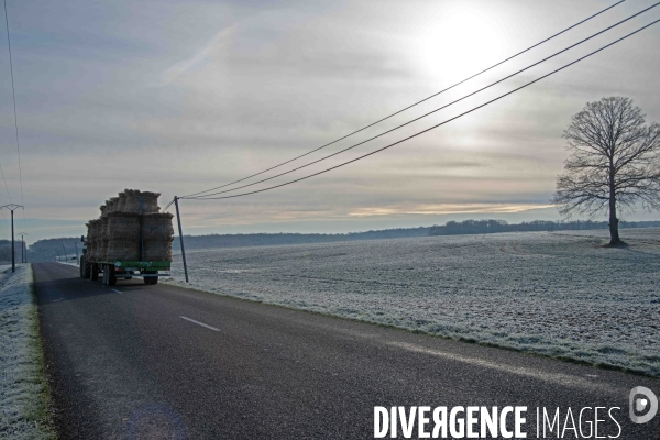 Vague de froid,c’est l’hiver