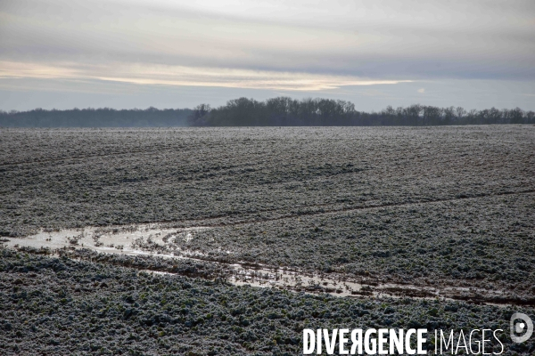 Vague de froid,c’est l’hiver
