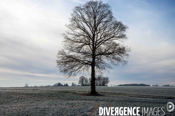 Vague de froid,c’est l’hiver