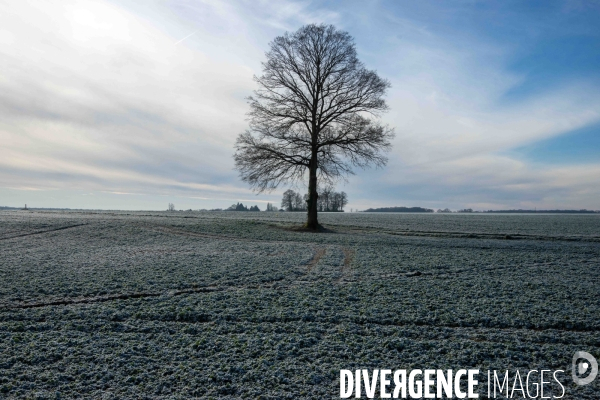Vague de froid,c’est l’hiver