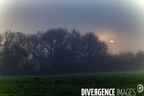 Vague de froid,c’est l’hiver