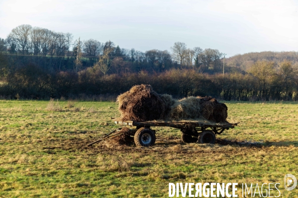 Vague de froid,c’est l’hiver