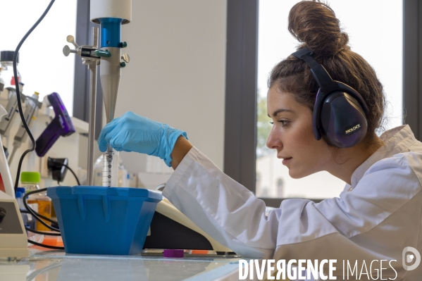 CRBS : Centre de Recherche en Biomedecine de Strasbourg