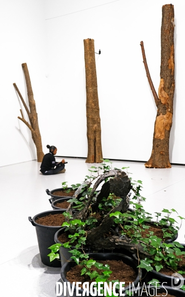 Exposition Arte Povera à la Bourse de Commerce