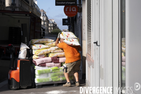 Le silence de la rue # 8