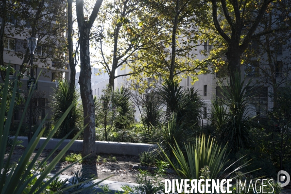 Le silence de la rue # 8