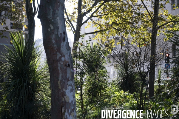 Le silence de la rue # 8
