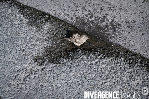 Le silence de la rue # 8