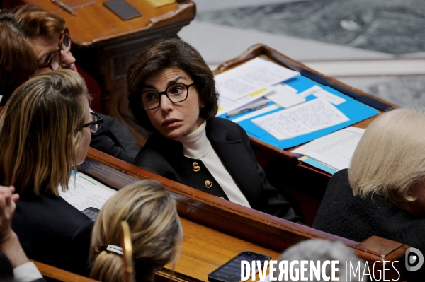 Assemblee Nationale / Questions au gouvernement
