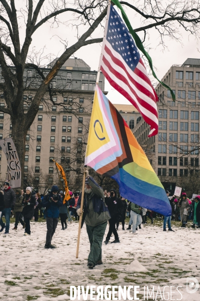 Rally People s March-Washington DC- Trump s inauguration