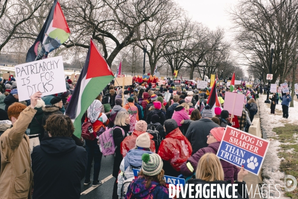 Rally People s March-Washington DC- Trump s inauguration