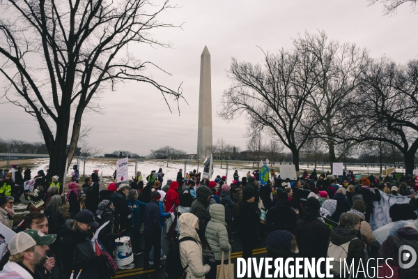 Rally People s March-Washington DC- Trump s inauguration