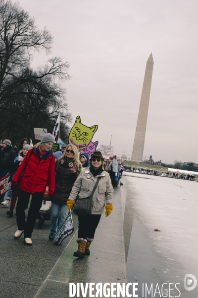 Rally People s March-Washington DC- Trump s inauguration
