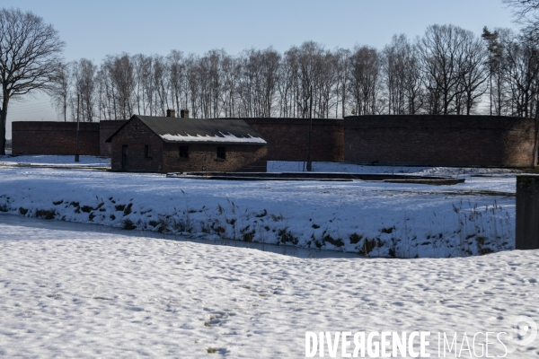 Auschwitz-Birkenau