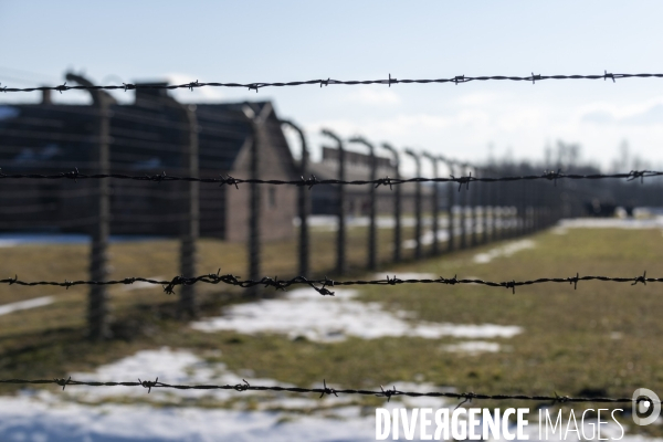 Auschwitz-Birkenau