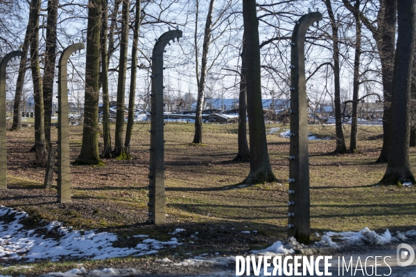 Auschwitz-Birkenau
