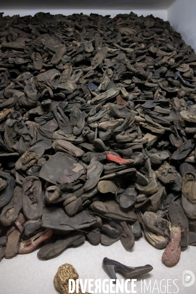 Auschwitz-Birkenau