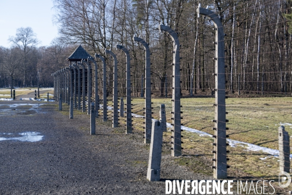 Auschwitz-Birkenau