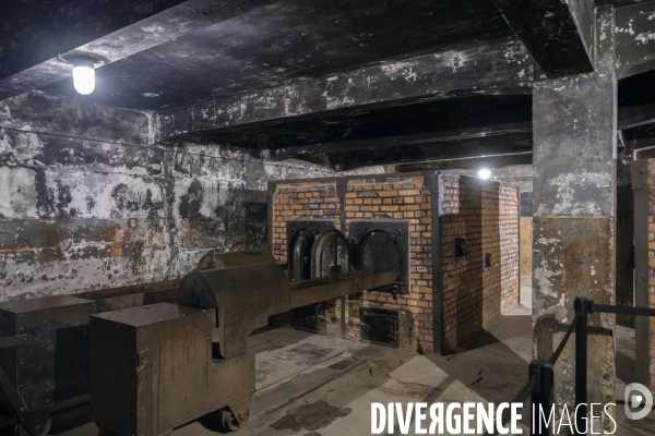 Auschwitz-Birkenau