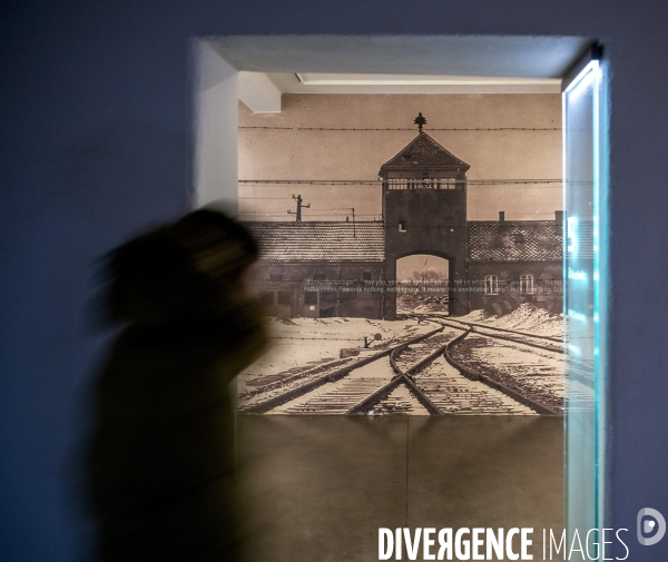 Auschwitz-Birkenau