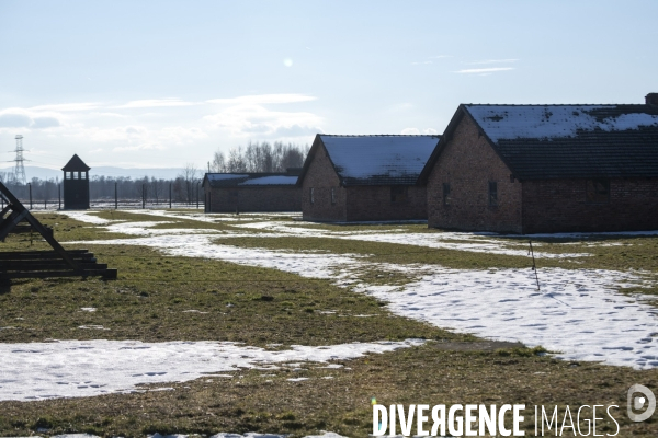 Auschwitz-Birkenau