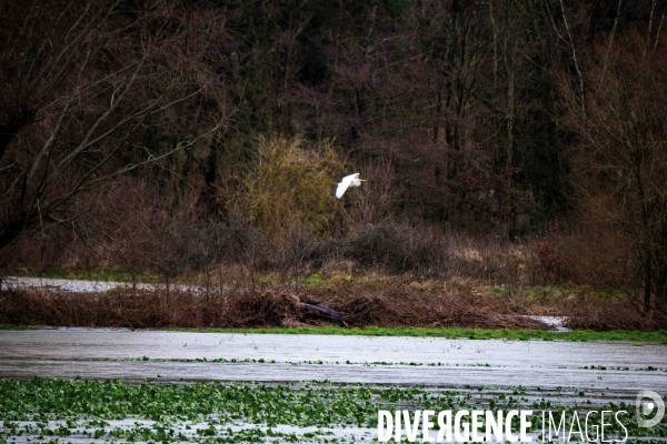 Tempête Herminia arrive après Eowyn