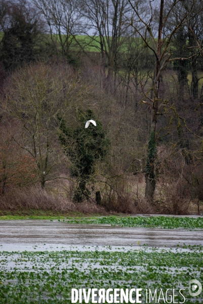 Tempête Herminia arrive après Eowyn