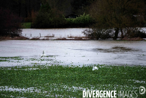 Tempête Herminia arrive après Eowyn