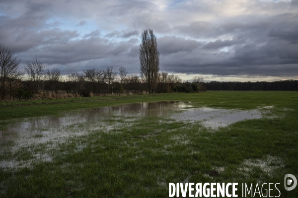 Noiseau, projet de construction d’une prison.