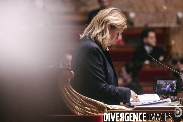 Assemblée nationale 28012025