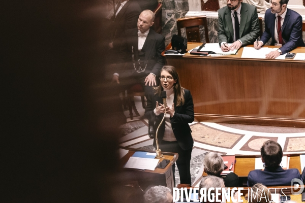 Assemblée nationale 28012025