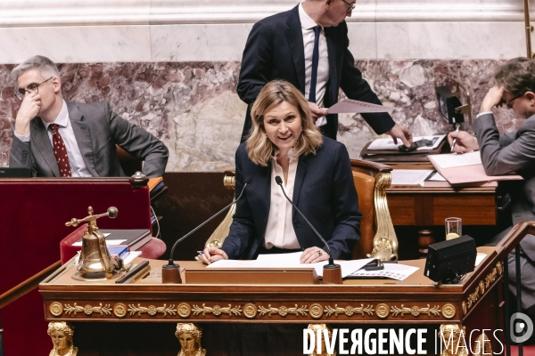 Assemblée nationale 28012025