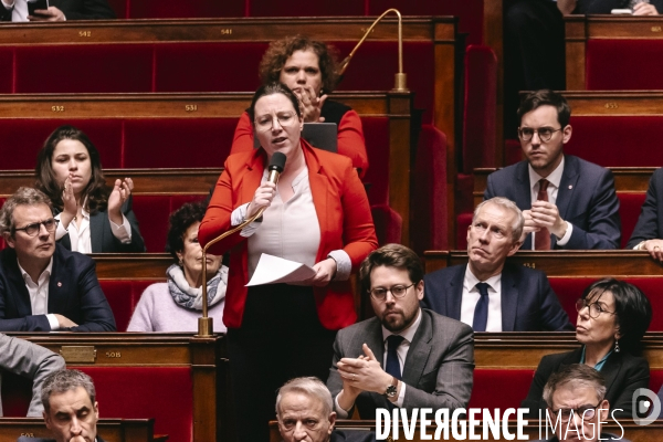 Assemblée nationale 28012025