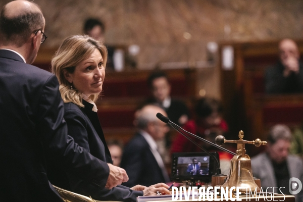 Assemblée nationale 28012025