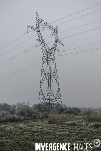Réserve naturelle nationale de la Bassée