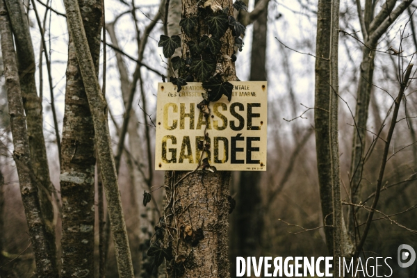 Réserve naturelle nationale de la Bassée