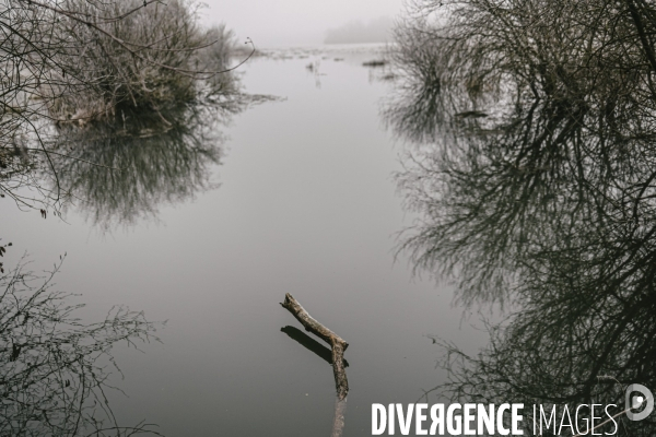 Réserve naturelle nationale de la Bassée