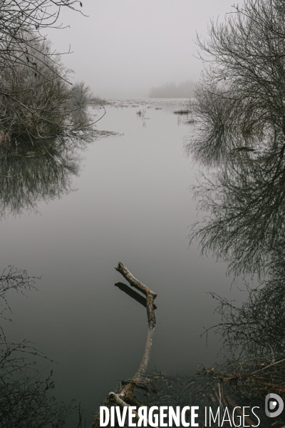 Réserve naturelle nationale de la Bassée