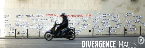 Féminicide de 2024