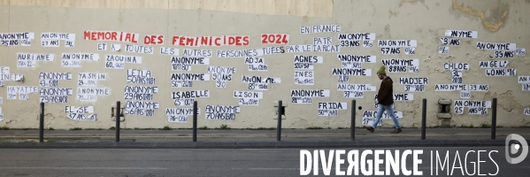 Féminicide de 2024