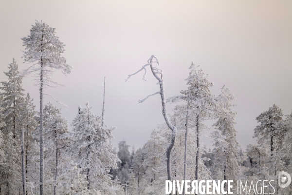 Balade Finlandaise